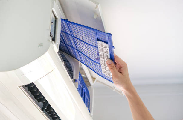Best Air Duct Mold Removal  in Hubbard, TX